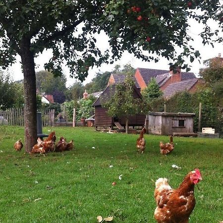 Cider Cottages Burley Exterior foto